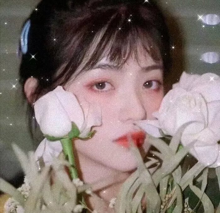 桃花坞开放中